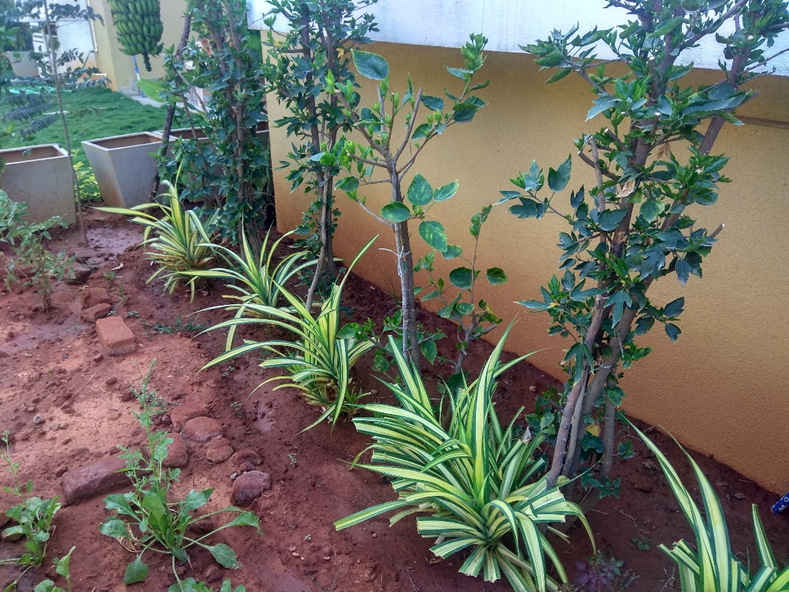 Lacking Plinth Protection