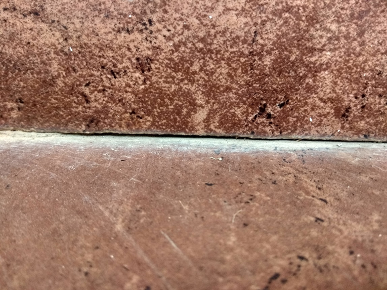 Joint between wall and floor