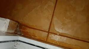 Water Oozing from floor tiles