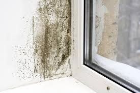Condensation Damp