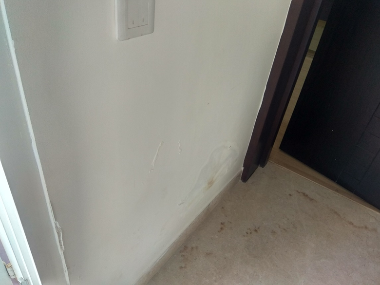Wall of balcony (inside view) affected by dampness due to water entry