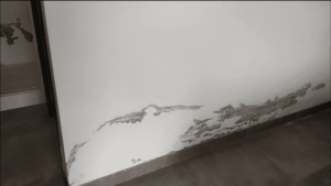 wall damp