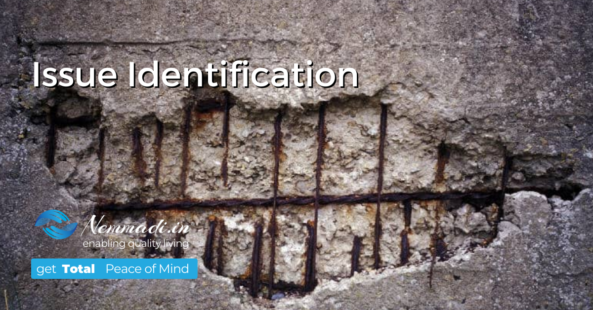 Meticulous Issue identification