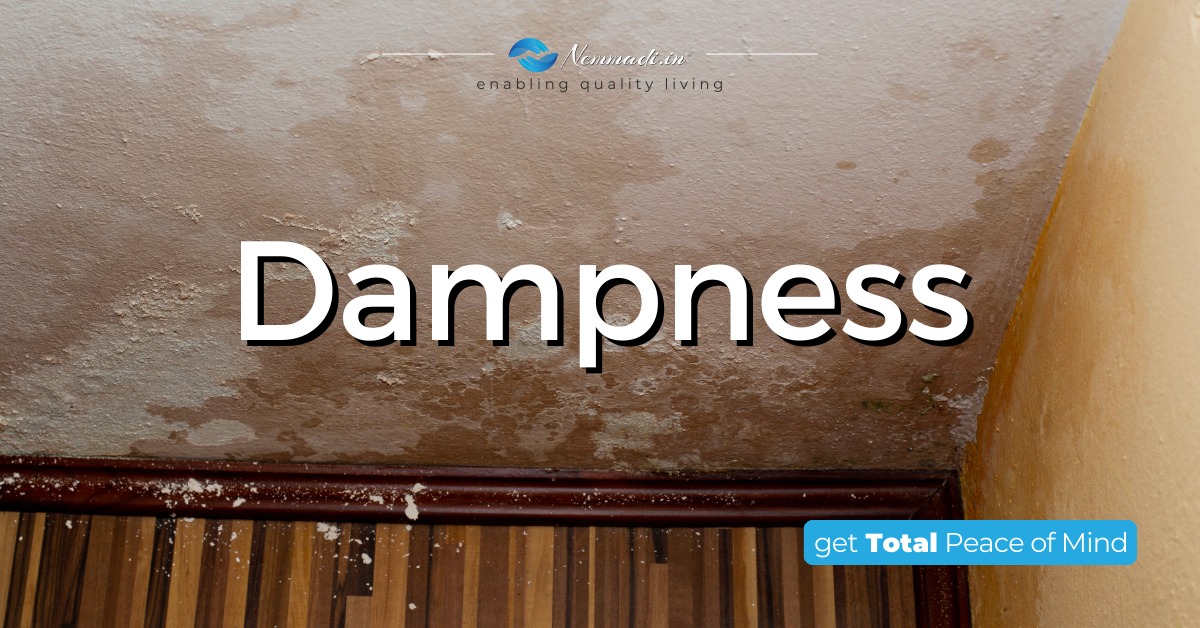 Nemmadi.in Dampness