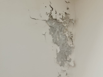 Thermal imaging inspection showing hidden dampness in bathroom walls