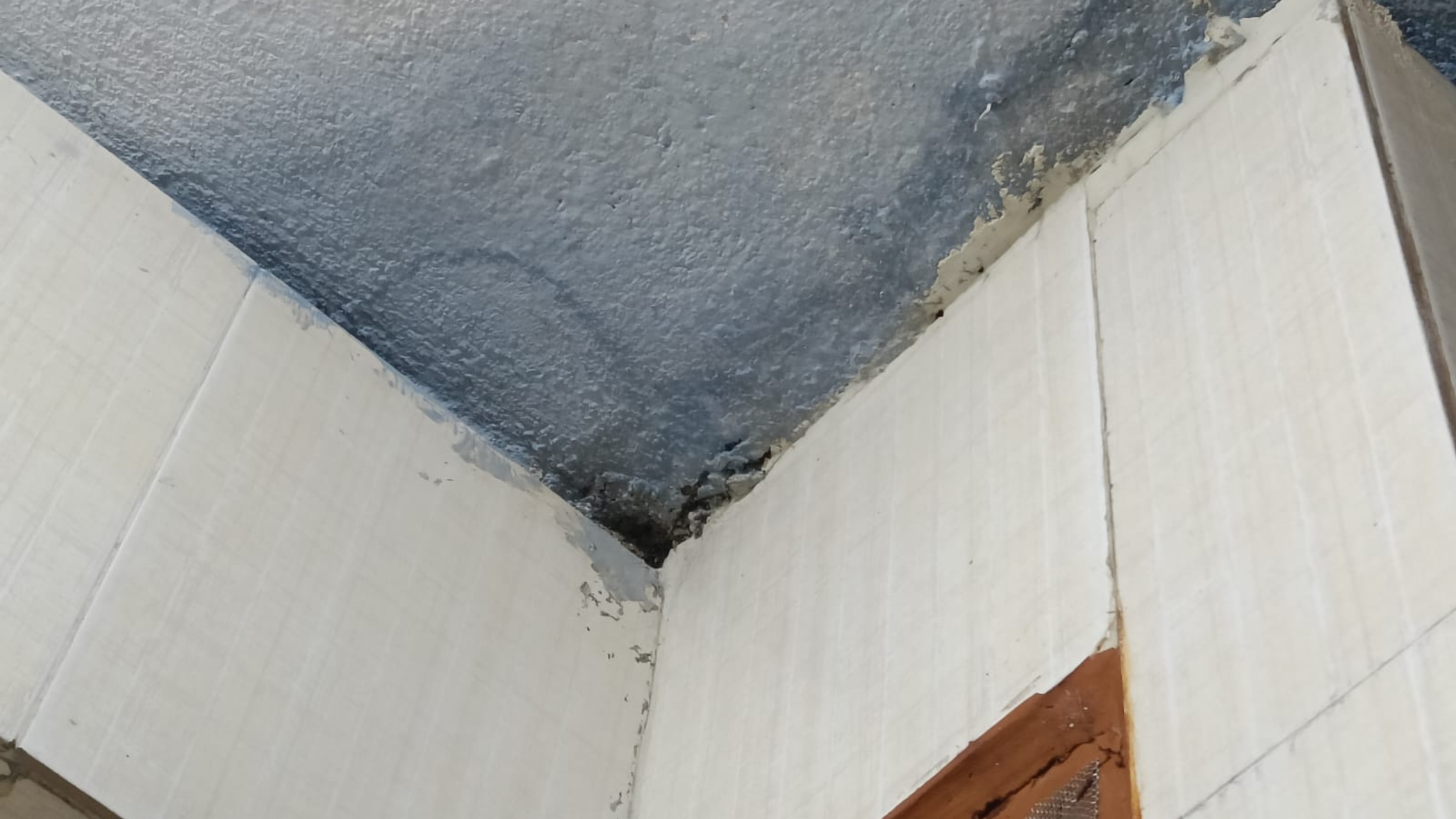 Hidden dampness in walls showing water seepage and paint damage